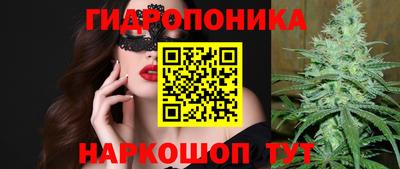 эйфоретик Ставрополь