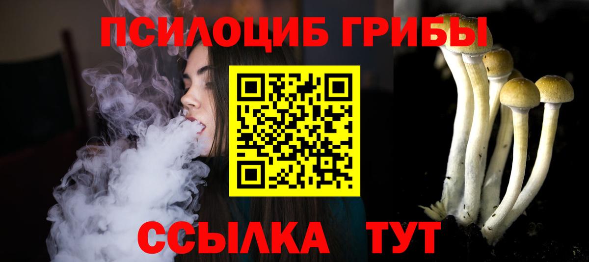 Псилоцибиновые грибы Psilocybine cubensis  Вход с VPN  Псилоцибиновые грибы прущие грибы  Павлово 